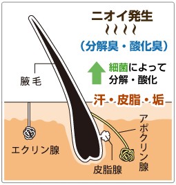 �d�� ���L